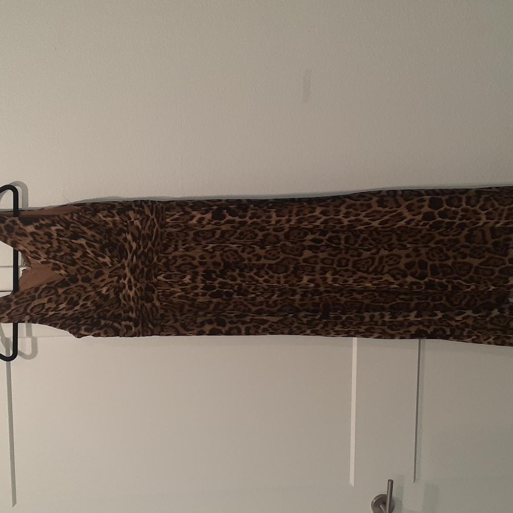 Animal Prinr Maxi Dress